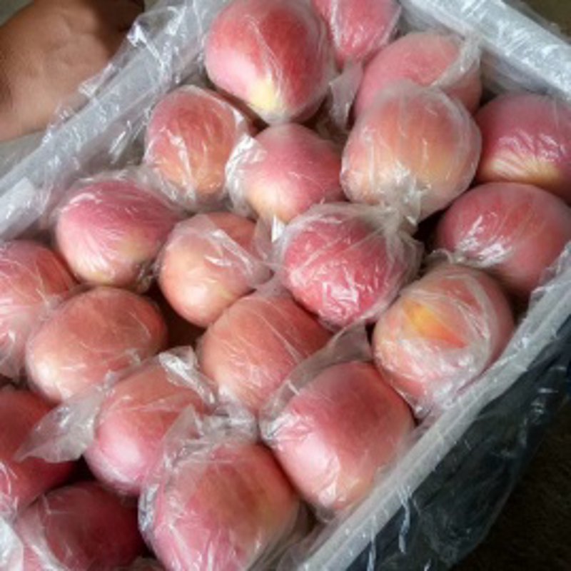 贸易行业的蓬勃发展与新趋势
